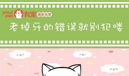 🍜有宠百科 第17话 第1页