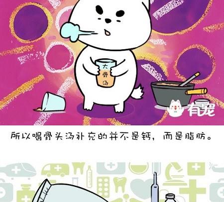 🍜有宠百科 第17话 第10页