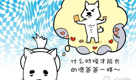 🍜有宠百科 第17话 第5页