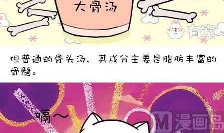 🍜有宠百科 第17话 第9页