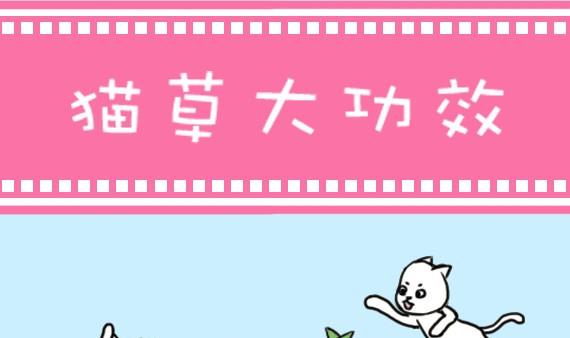 🍜有宠百科 第19话 第1页
