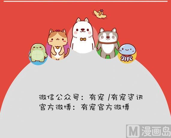 🍜有宠百科 第19话 第12页