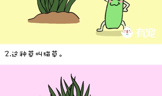 🍜有宠百科 第19话 第4页