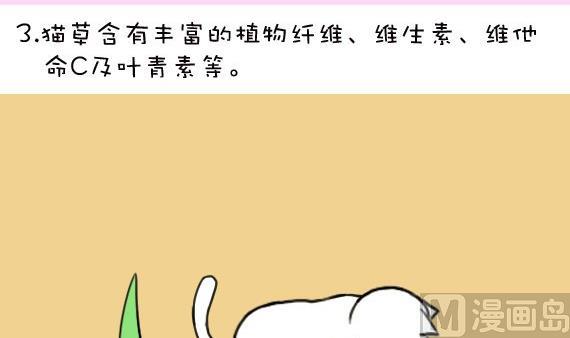🍜有宠百科 第19话 第6页