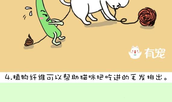 🍜有宠百科 第19话 第7页