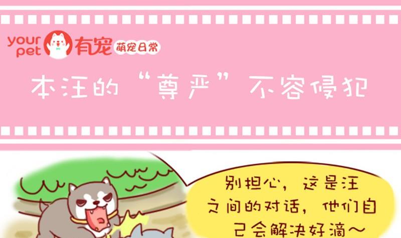 🍜有宠百科 第3话 第1页