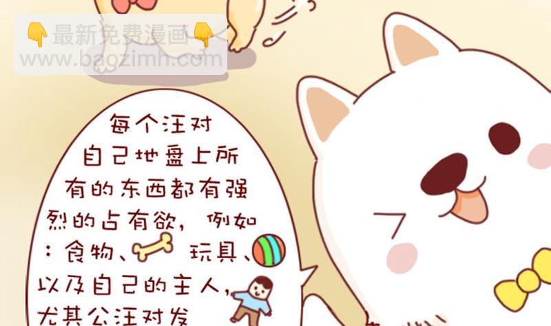 🍜有宠百科 第3话 第10页