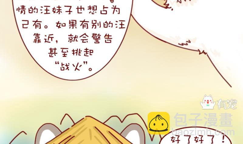 🍜有宠百科 第3话 第11页