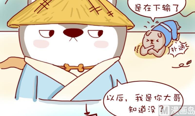 🍜有宠百科 第3话 第12页