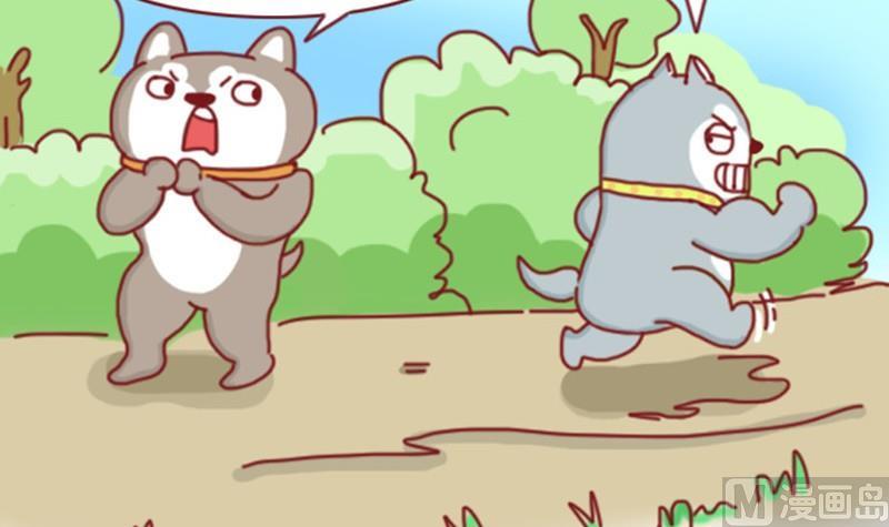 🍜有宠百科 第3话 第15页