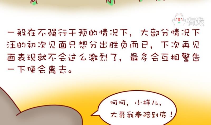 🍜有宠百科 第3话 第16页