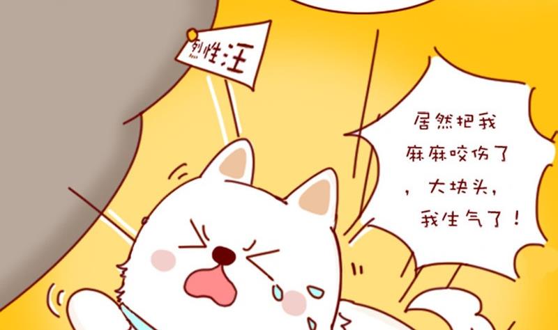 🍜有宠百科 第3话 第17页