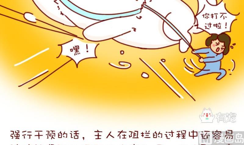 🍜有宠百科 第3话 第18页