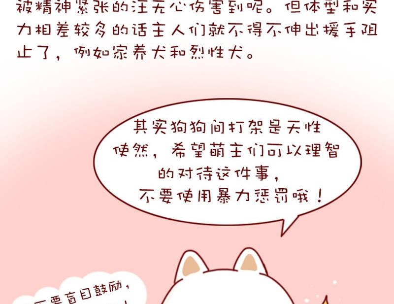 🍜有宠百科 第3话 第19页