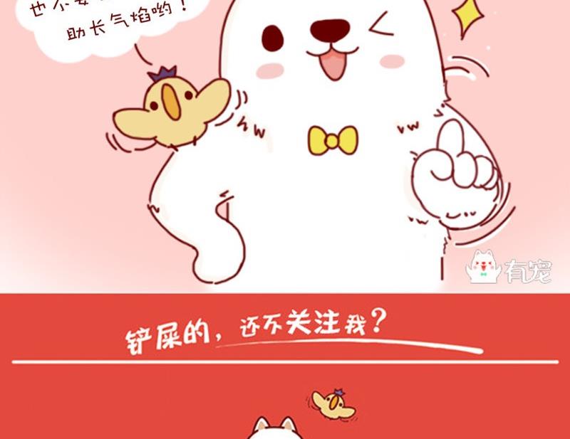 🍜有宠百科 第3话 第20页