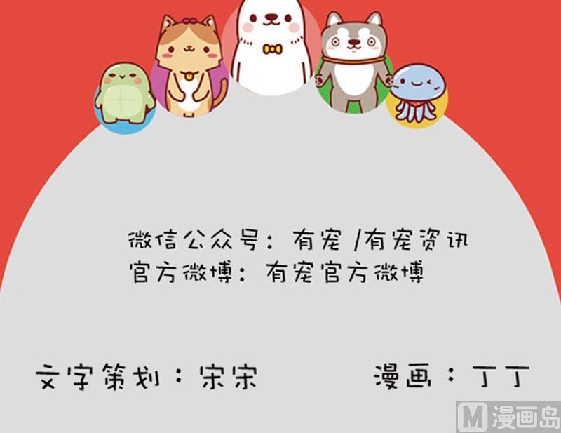 🍜有宠百科 第3话 第21页