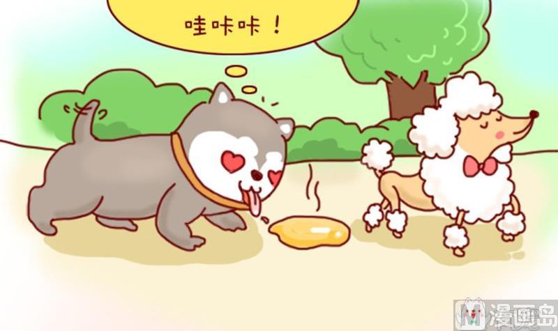 🍜有宠百科 第3话 第6页