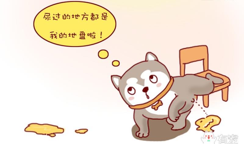 🍜有宠百科 第3话 第7页