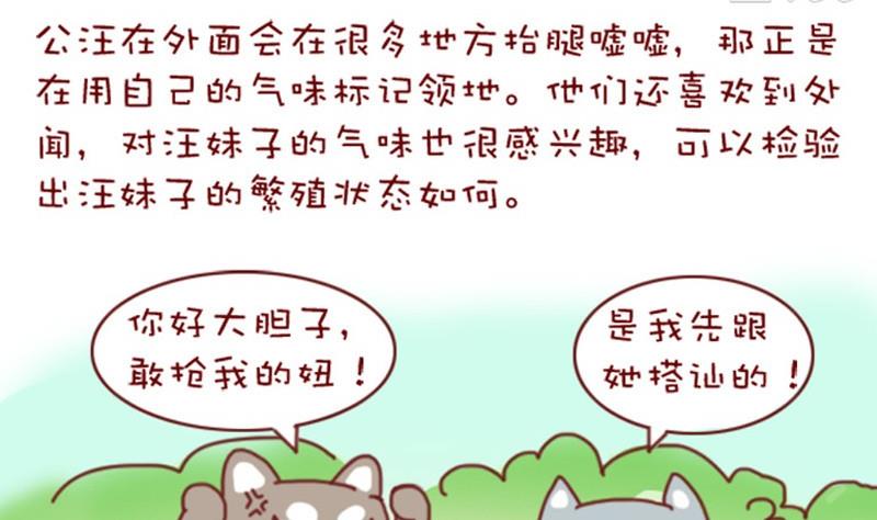 🍜有宠百科 第3话 第8页
