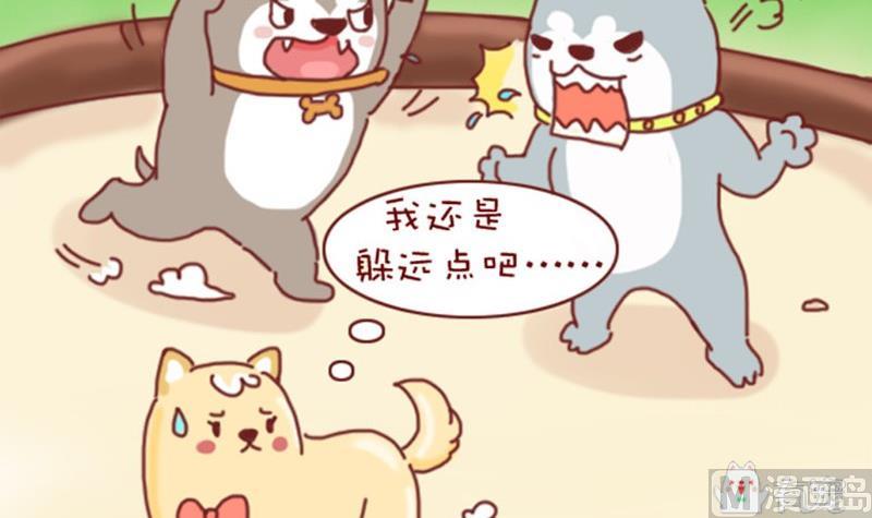 🍜有宠百科 第3话 第9页