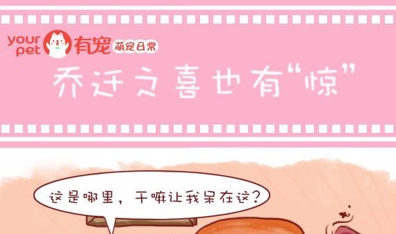 🍜有宠百科 第21话 第1页