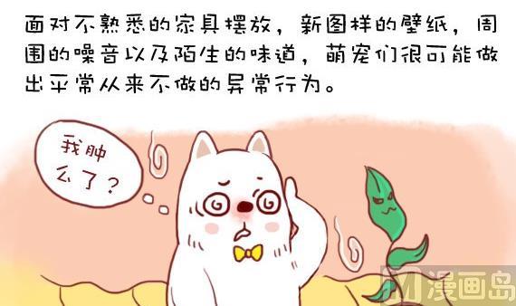 🍜有宠百科 第21话 第3页