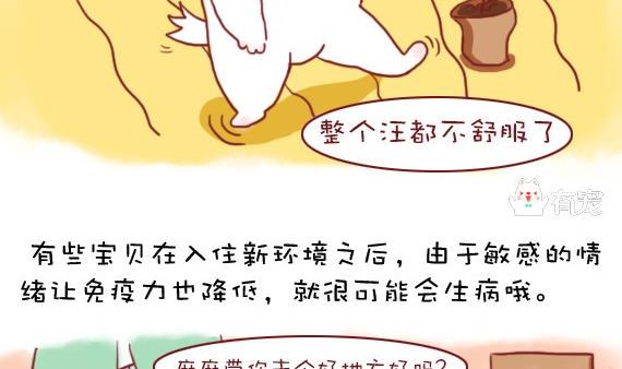 🍜有宠百科 第21话 第4页
