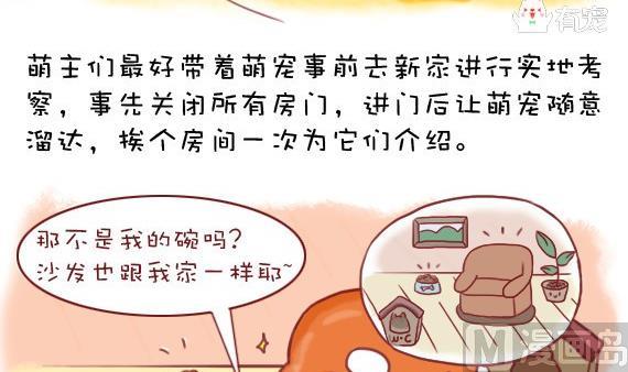 🍜有宠百科 第21话 第6页