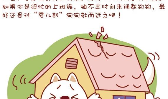 🍜有宠百科 第23话 第10页