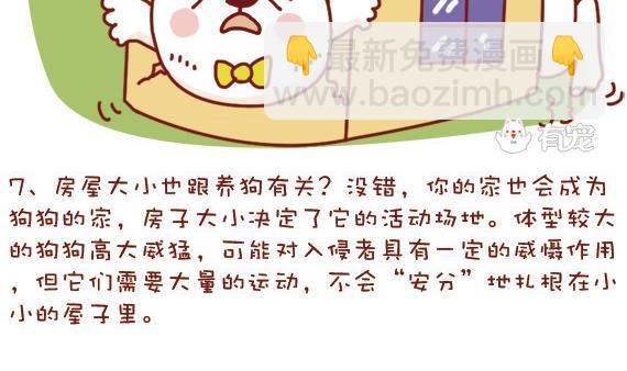 🍜有宠百科 第23话 第11页