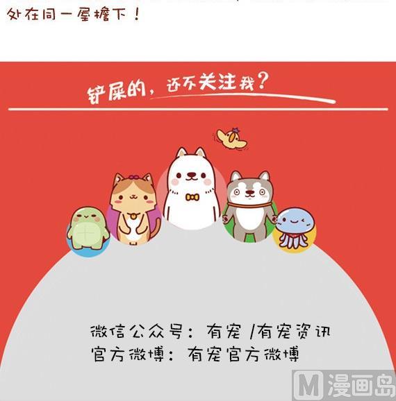 🍜有宠百科 第23话 第15页