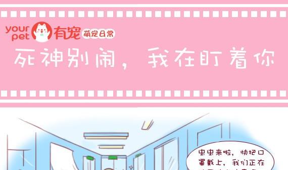 🍜有宠百科 第25话 第1页