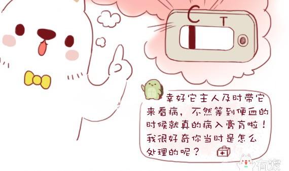 🍜有宠百科 第25话 第10页