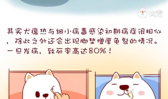 🍜有宠百科 第25话 第17页