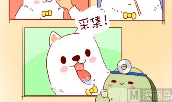 🍜有宠百科 第25话 第18页