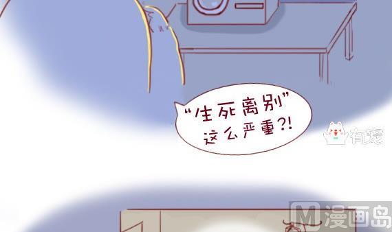 🍜有宠百科 第25话 第6页