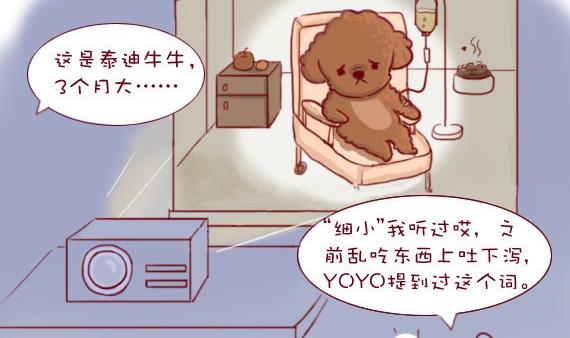 🍜有宠百科 第25话 第7页