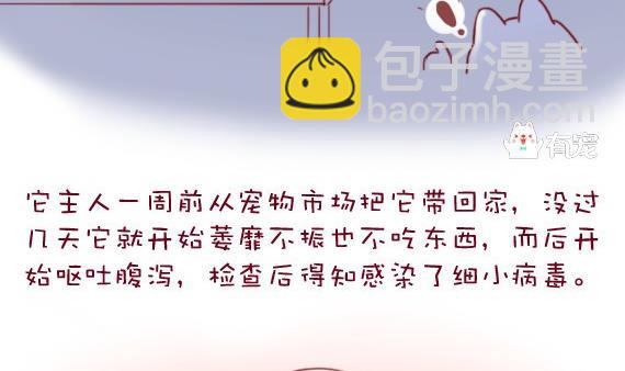 🍜有宠百科 第25话 第8页