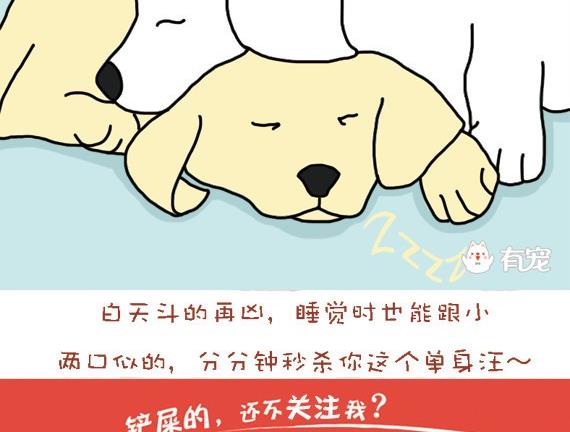 🍜有宠百科 第27话 第11页