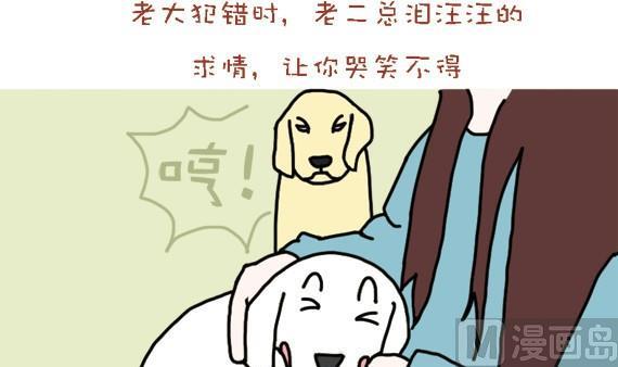 🍜有宠百科 第27话 第9页