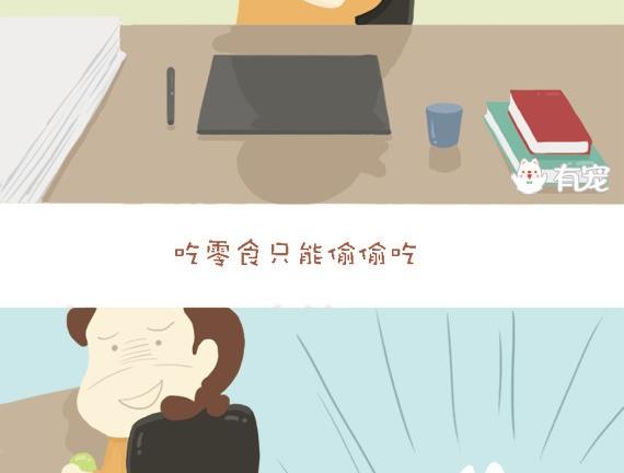 🍜有宠百科 第29话 第10页