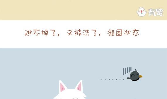 🍜有宠百科 第29话 第4页