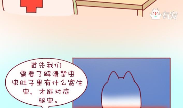 🍜有宠百科 第31话 第11页