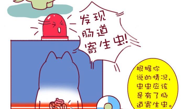 🍜有宠百科 第31话 第14页