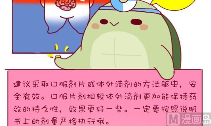 🍜有宠百科 第31话 第15页