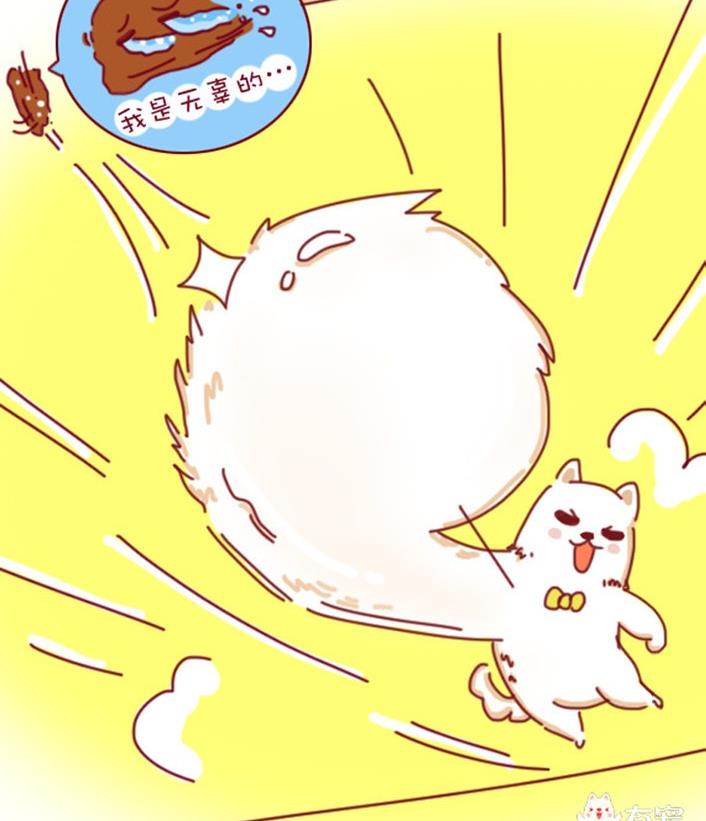 🍜有宠百科 第31话 第20页