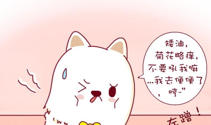 🍜有宠百科 第31话 第4页