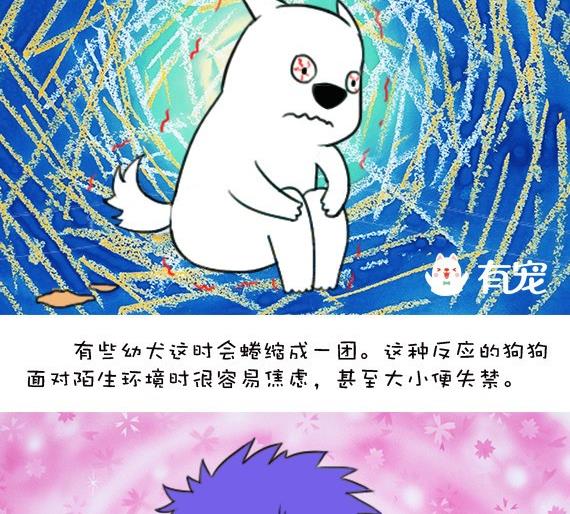 🍜有宠百科 第33话 第10页