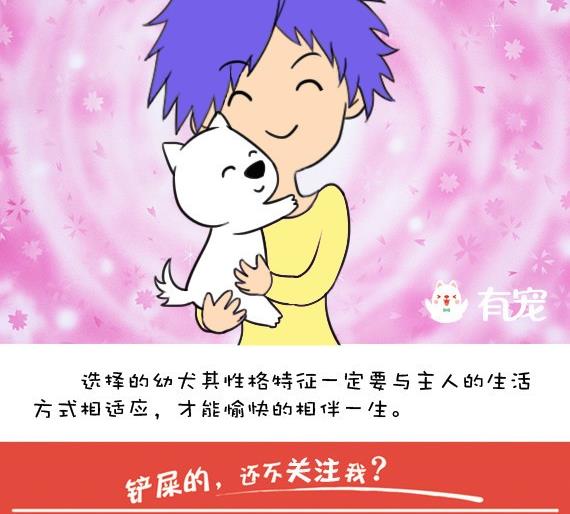 🍜有宠百科 第33话 第11页