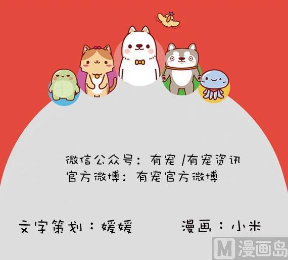 🍜有宠百科 第33话 第12页